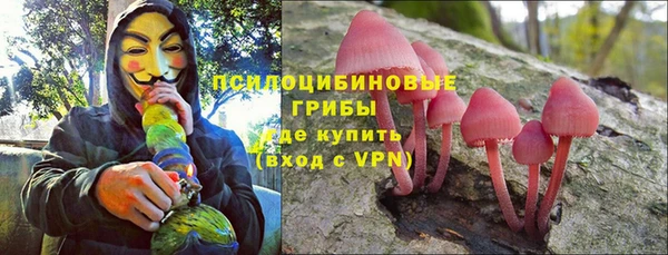 марки lsd Белокуриха