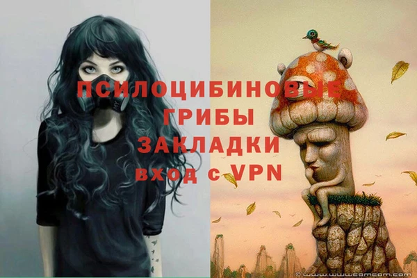 дживик Белоозёрский