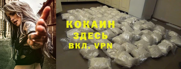 дживик Белоозёрский