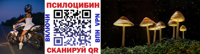 Псилоцибиновые грибы Magic Shrooms Можга
